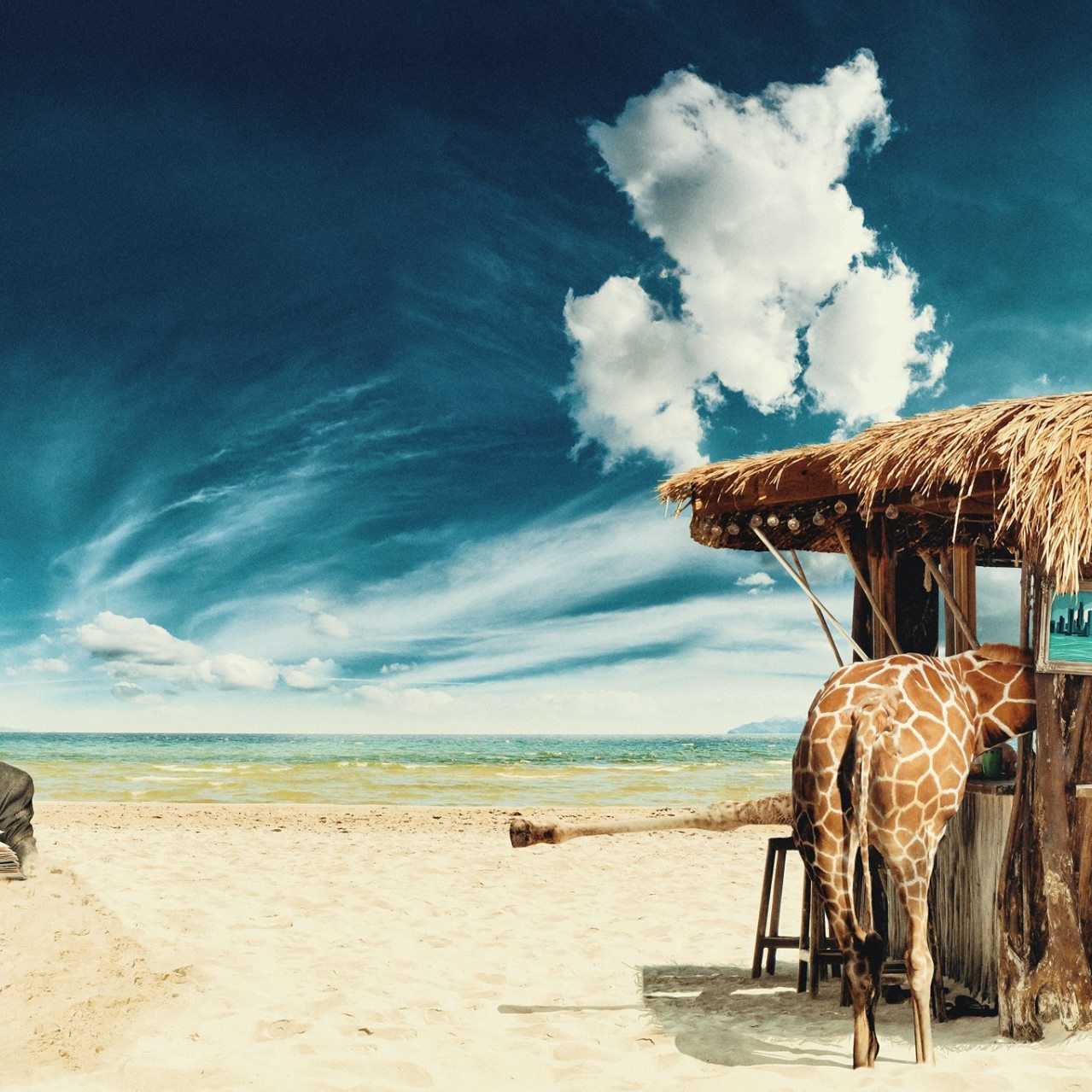 Beach book bar