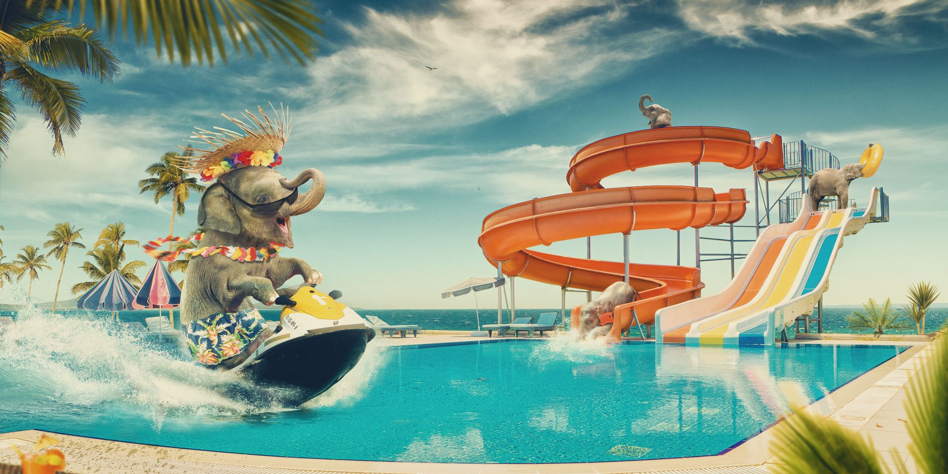 Elefanten Pool Party